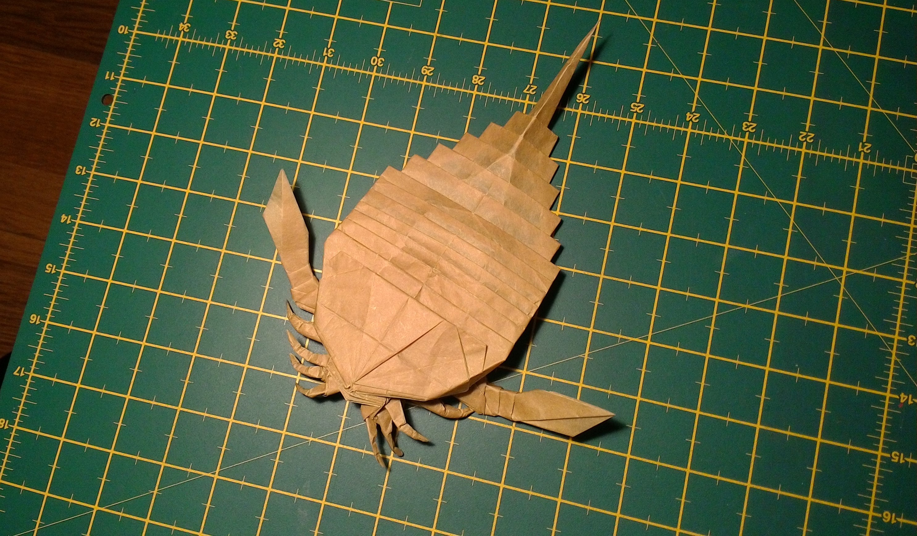 model image